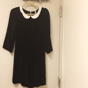 Iconic Peter Pan Collar Alexa Chung Dress